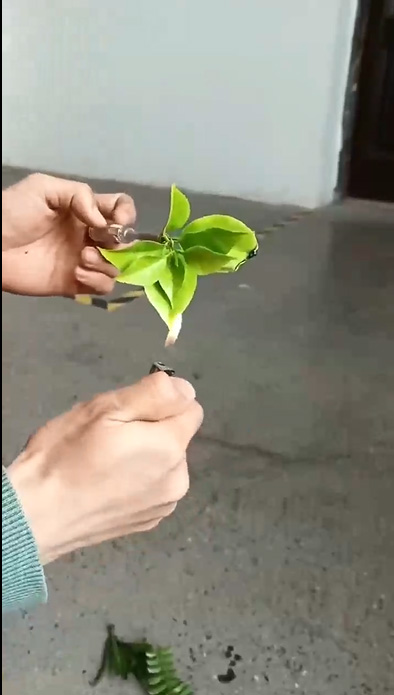 ���̰���